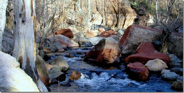 reds rocks ina stream near sedona